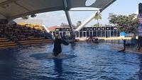Loro-Park &ndash; &copy; Kristina Hesse (Eberhardt TRAVEL)