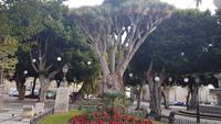 La Laguna &ndash; &copy; Kristina Hesse (Eberhardt TRAVEL)