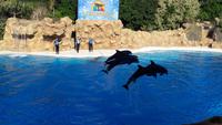 Loro-Park &ndash; &copy; Kristina Hesse (Eberhardt TRAVEL)