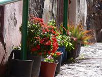 Agulo 5 &ndash; &copy; Margret van Blokland (Eberhardt TRAVEL)