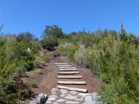 Wanderung Las Rosas - Vallehermoso 4 &ndash; &copy; Margret van Blokland (Eberhardt TRAVEL)