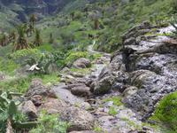 Palmenschlucht 1 &ndash; &copy; Margret van Blokland (Eberhardt TRAVEL)