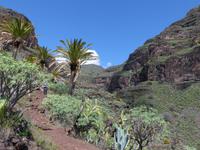 Palmenschlucht 13 &ndash; &copy; Margret van Blokland (Eberhardt TRAVEL)