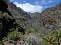 Palmenschlucht 14 &ndash; &copy; Margret van Blokland (Eberhardt TRAVEL)