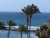 Unfreiwillige Verlängerung in Los Cristianos Teneriffa 2 &ndash; &copy; Margret van Blokland (Eberhardt TRAVEL)