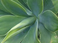 Hermingua 10 &ndash; &copy; Margret van Blokland (Eberhardt TRAVEL)