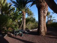 San Sebastian La Gomera 12 &ndash; &copy; Margret van Blokland (Eberhardt TRAVEL)