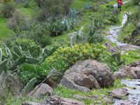 Palmenschlucht 15 &ndash; &copy; Margret van Blokland (Eberhardt TRAVEL)