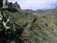 Palmenschlucht 16 &ndash; &copy; Margret van Blokland (Eberhardt TRAVEL)