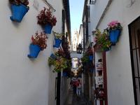 Cordoba &ndash; &copy; Benjamin Rodriguez Manzanares (Eberhardt TRAVEL)