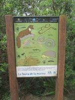 Naturpark S'Albufera &ndash; &copy; Stefanie Knisse (Eberhardt TRAVEL)