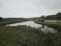 Naturpark S'Albufera &ndash; &copy; Stefanie Knisse (Eberhardt TRAVEL)