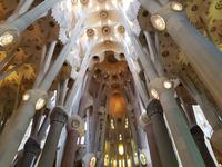 Die Sagrada Familia Basilika in Barcelona (32)
