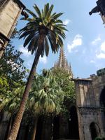 Dom von Barcelona (2) &ndash; &copy; Benjamin Rodriguez Manzanares (Eberhardt TRAVEL)