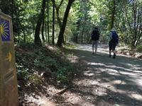 Auf dem Jakobsweg von Arzua nach O Pino (3) &ndash; &copy; Benjamin Rodriguez Manzanares (Eberhardt TRAVEL)
