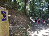 Auf dem Jakobsweg von Arzua nach O Pino (12) &ndash; &copy; Benjamin Rodriguez Manzanares (Eberhardt TRAVEL)