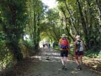 Auf dem Jakobsweg von Arzua nach O Pino (13) &ndash; &copy; Benjamin Rodriguez Manzanares (Eberhardt TRAVEL)