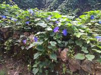 Fauna und Flora &ndash; &copy; Bianka Kirsche (Eberhardt TRAVEL)
