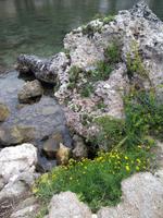 Es Canutells &ndash; &copy; Bianka Kirsche (Eberhardt TRAVEL)