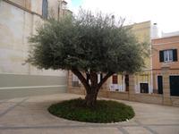 Ciutadella &ndash; &copy; Bianka Kirsche (Eberhardt TRAVEL)