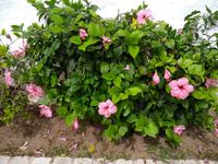 Fauna und Flora &ndash; &copy; Bianka Kirsche (Eberhardt TRAVEL)