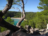Cala Mitjana