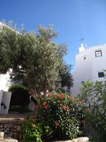 Siedlung Binibeca &ndash; &copy; Bianka Kirsche (Eberhardt TRAVEL)