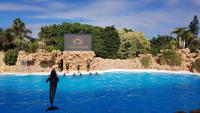 Teneriffa, Puerto de la Cruz, Loro Park