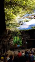 Teneriffa, Puerto de la Cruz, Loro Park &ndash; &copy; Ria Heilmann (Eberhardt TRAVEL)