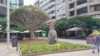 Teneriffa, Santa Cruz, Zentrum &ndash; &copy; Ria Heilmann (Eberhardt TRAVEL)