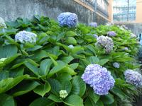 Teneriffa, La Orotava, Botanischer Garten &ndash; &copy; Ria Heilmann (Eberhardt TRAVEL)