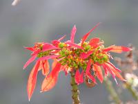 P1080035 &ndash; &copy; Margret van Blokland (Eberhardt TRAVEL)
