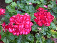 P1080048 &ndash; &copy; Margret van Blokland (Eberhardt TRAVEL)