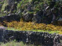 P1080153 &ndash; &copy; Margret van Blokland (Eberhardt TRAVEL)