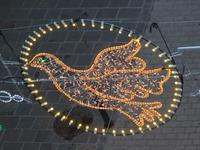 P1080513 &ndash; &copy; Margret van Blokland (Eberhardt TRAVEL)
