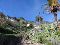 P1080554 &ndash; &copy; Margret van Blokland (Eberhardt TRAVEL)