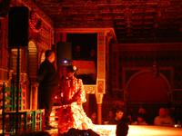 Flamenco-Show &ndash; &copy; Sylvia Sann (Eberhardt TRAVEL)