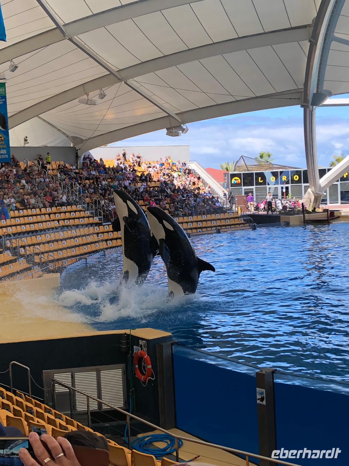 Loro Parque &ndash; &copy; Marcus Kühn (Eberhardt TRAVEL)