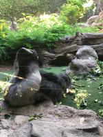 Loro Parque &ndash; &copy; Marcus Kühn (Eberhardt TRAVEL)