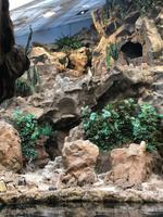 Loro Parque &ndash; &copy; Marcus Kühn (Eberhardt TRAVEL)