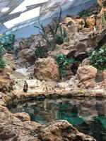 Loro Parque &ndash; &copy; Marcus Kühn (Eberhardt TRAVEL)