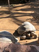 Loro Parque &ndash; &copy; Marcus Kühn (Eberhardt TRAVEL)