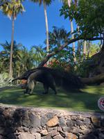 Loro Parque &ndash; &copy; Marcus Kühn (Eberhardt TRAVEL)