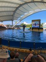 Loro Parque &ndash; &copy; Marcus Kühn (Eberhardt TRAVEL)