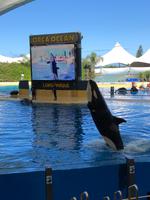 Loro Parque &ndash; &copy; Marcus Kühn (Eberhardt TRAVEL)
