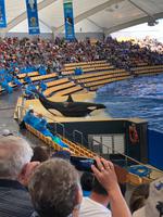 Loro Parque &ndash; &copy; Marcus Kühn (Eberhardt TRAVEL)
