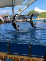 Loro Parque &ndash; &copy; Marcus Kühn (Eberhardt TRAVEL)