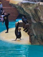 Loro Parque &ndash; &copy; Marcus Kühn (Eberhardt TRAVEL)