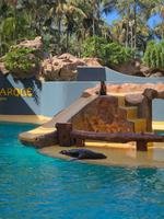 Loro Parque &ndash; &copy; Marcus Kühn (Eberhardt TRAVEL)