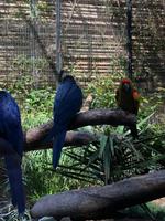 Loro Parque &ndash; &copy; Marcus Kühn (Eberhardt TRAVEL)